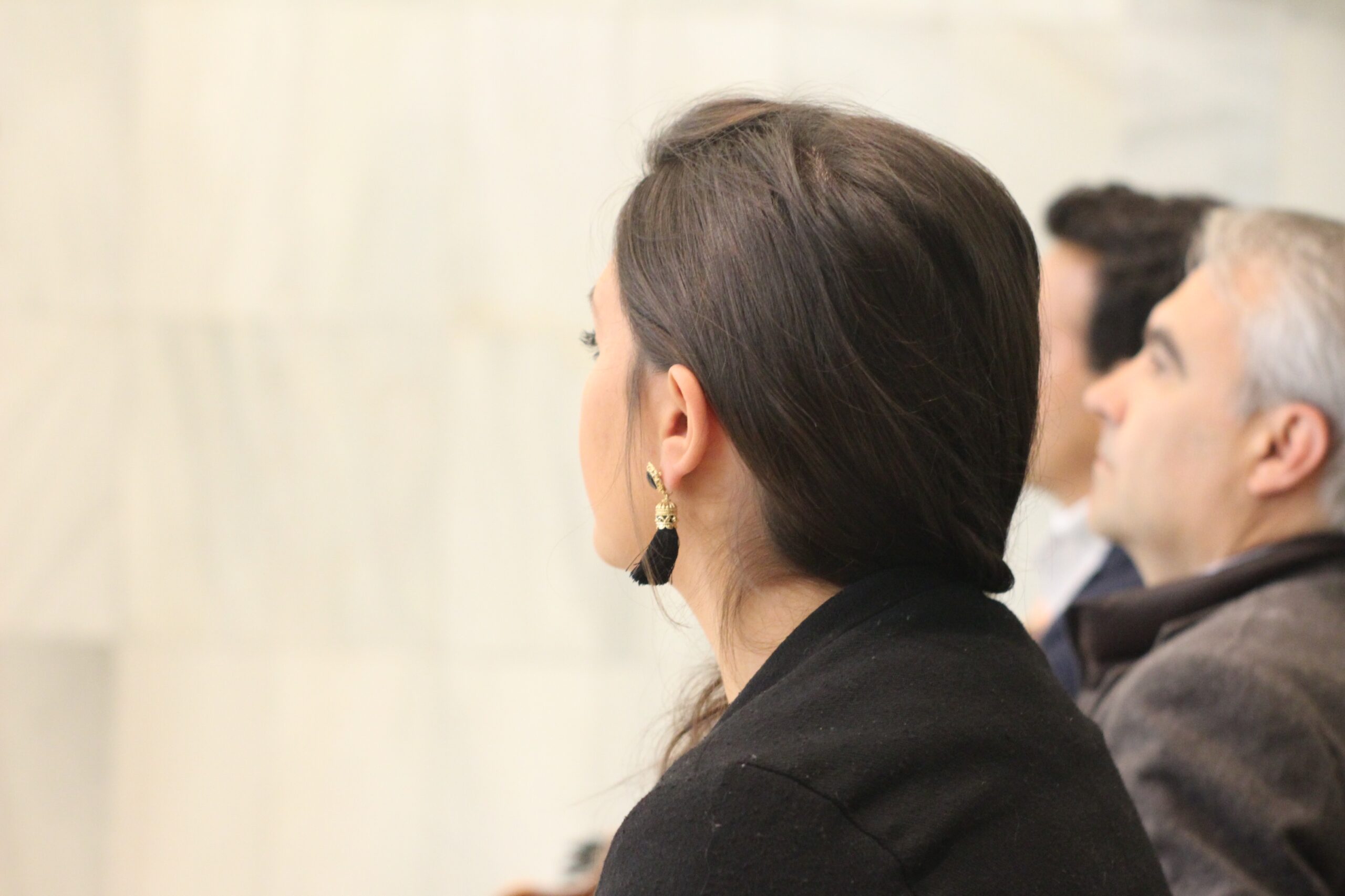 Festival de Flamenco y Fado, música, cultura, Badajoz, Extremadura, flamenco, fado