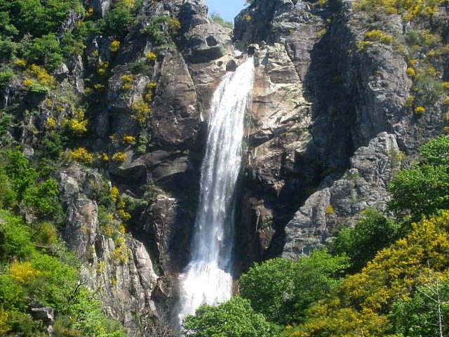 Salto da pega, Adelino Pinto Carvalhão