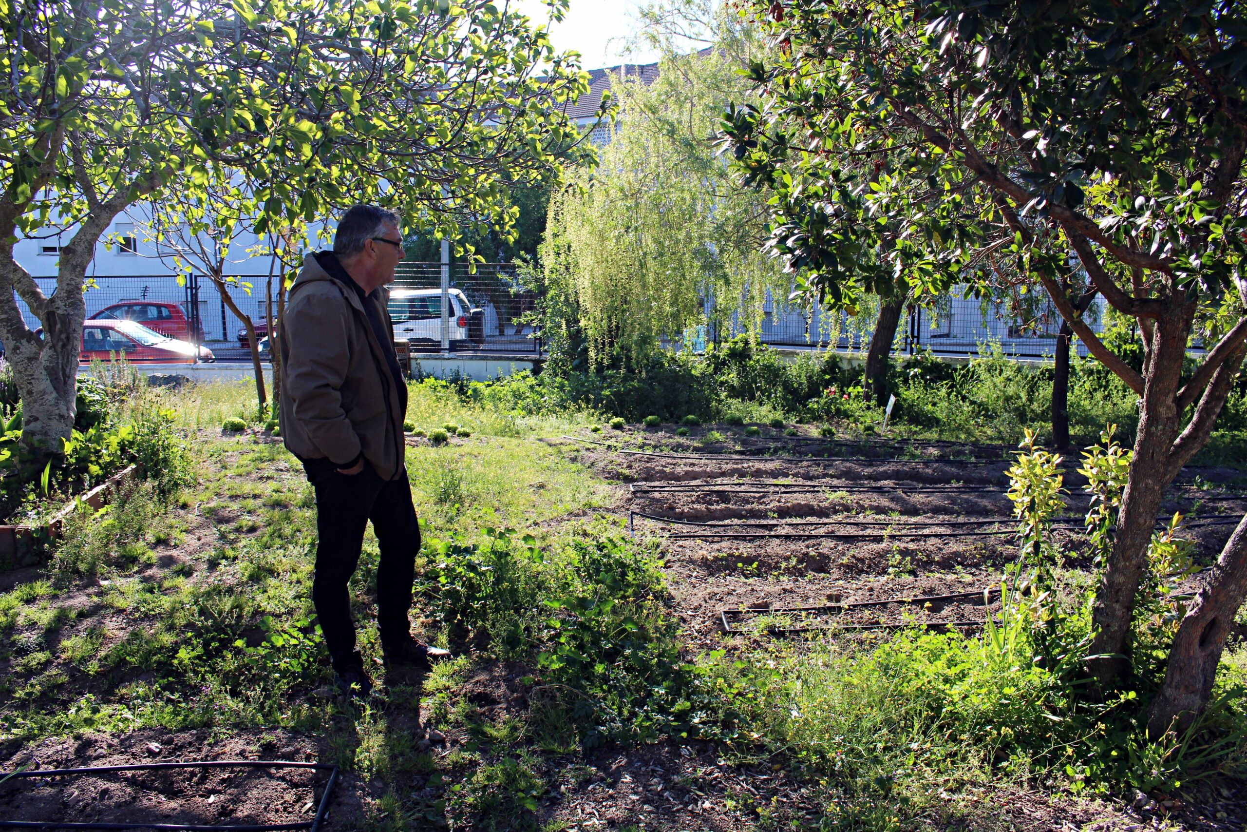 colegio, Colegio General Navarro, Educación, Valencia de Alcántara, Extremadura, Diputación de Cáceres