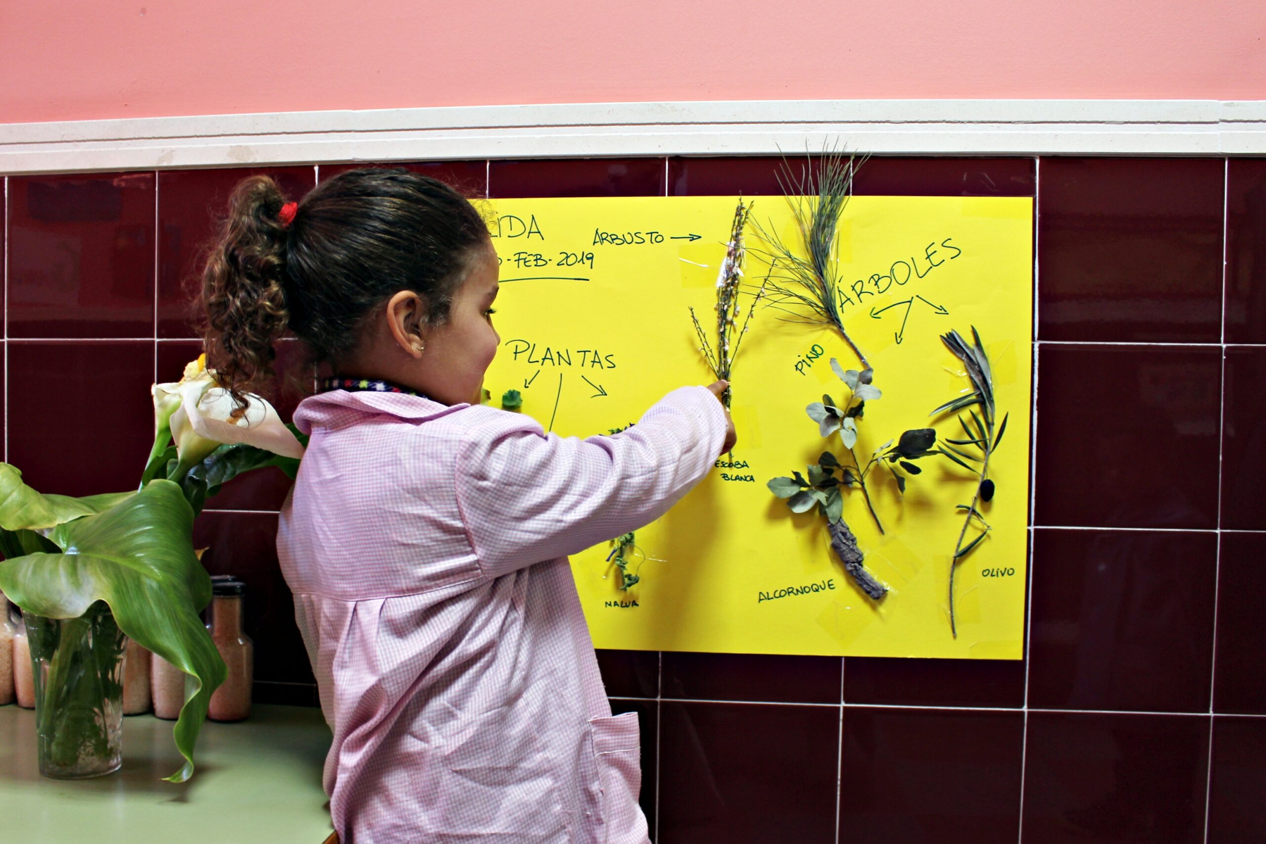 colegio, Colegio General Navarro, Educación, Valencia de Alcántara, Extremadura, Diputación de Cáceres
