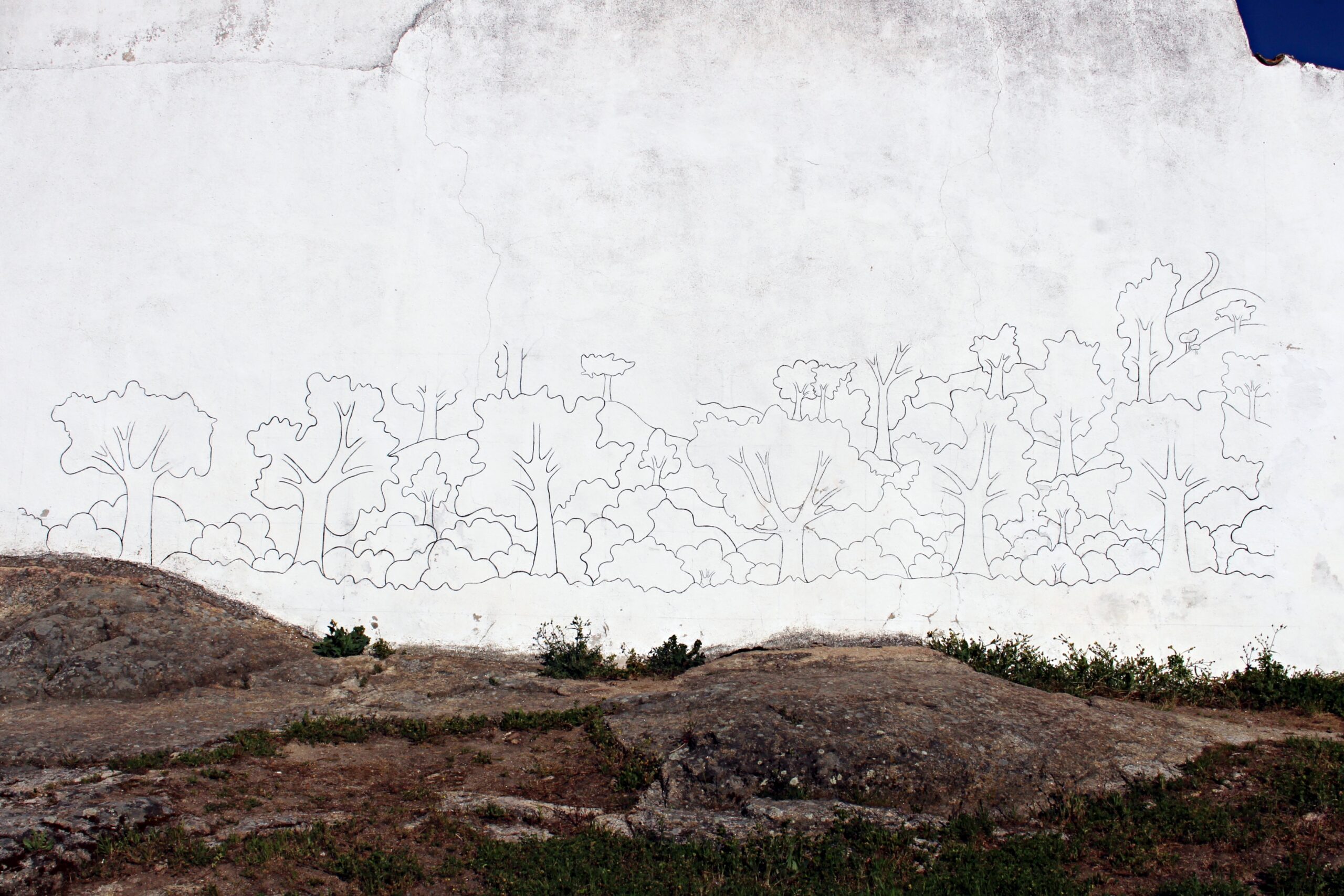 colegio, Colegio General Navarro, Educación, Valencia de Alcántara, Extremadura, Diputación de Cáceres