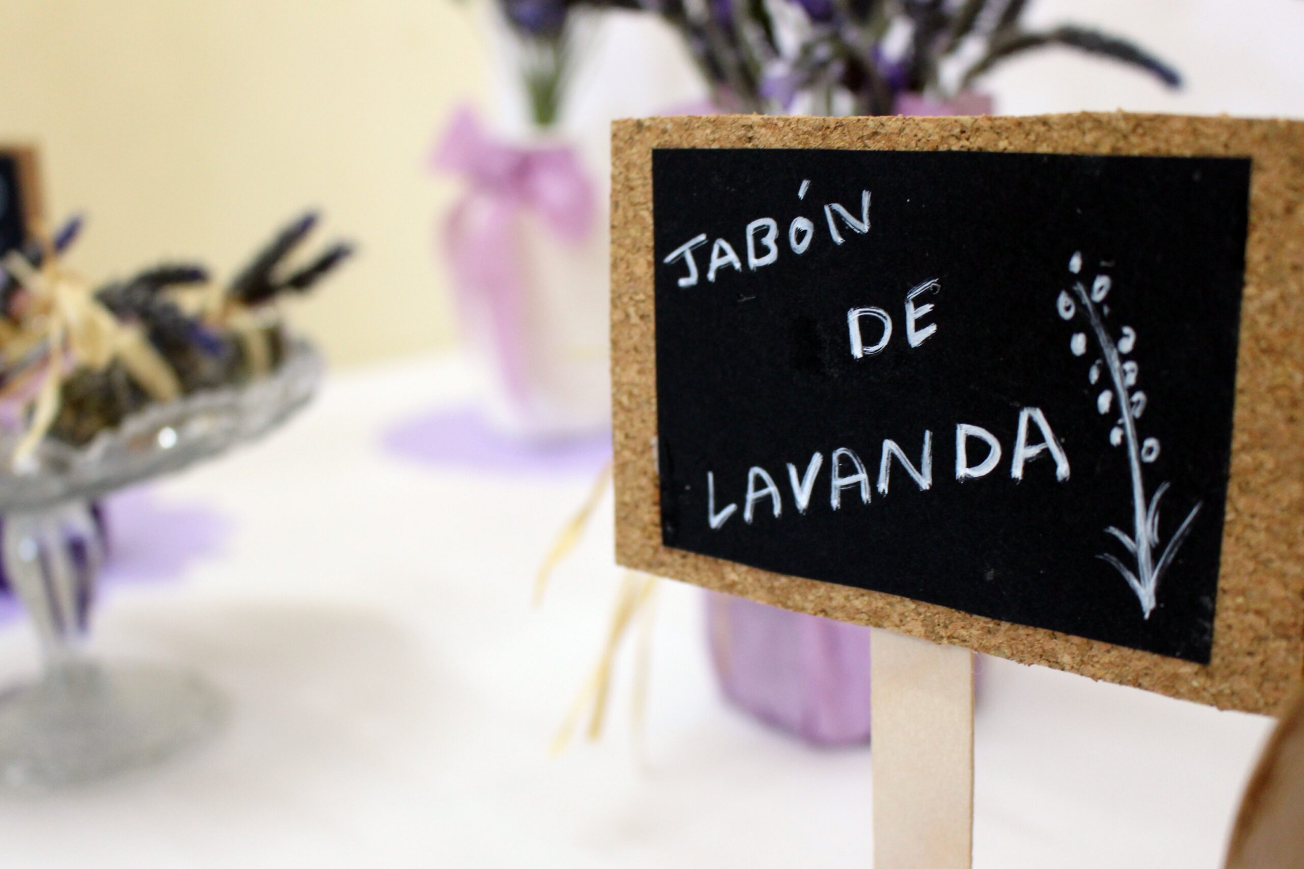 colegio, Colegio General Navarro, Educación, Valencia de Alcántara, Extremadura, Diputación de Cáceres