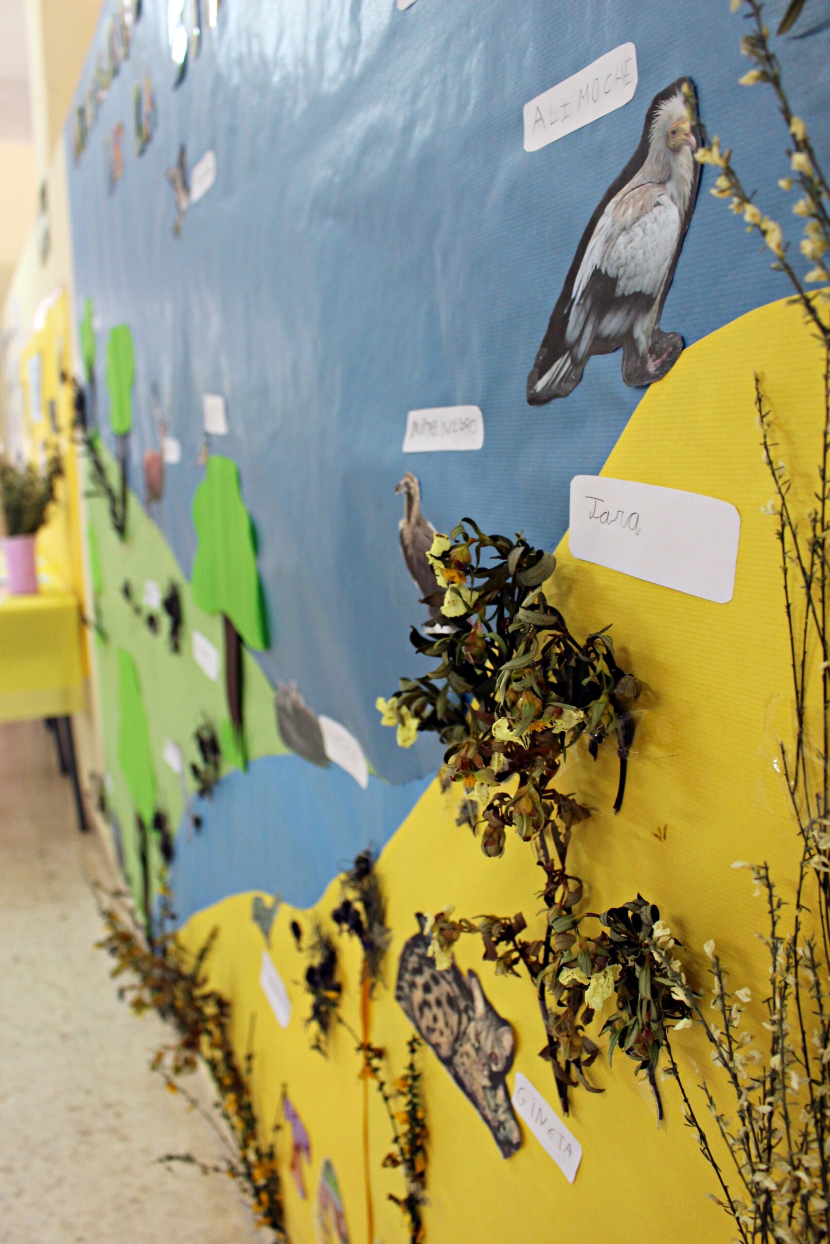 colegio, Colegio General Navarro, Educación, Valencia de Alcántara, Extremadura, Diputación de Cáceres