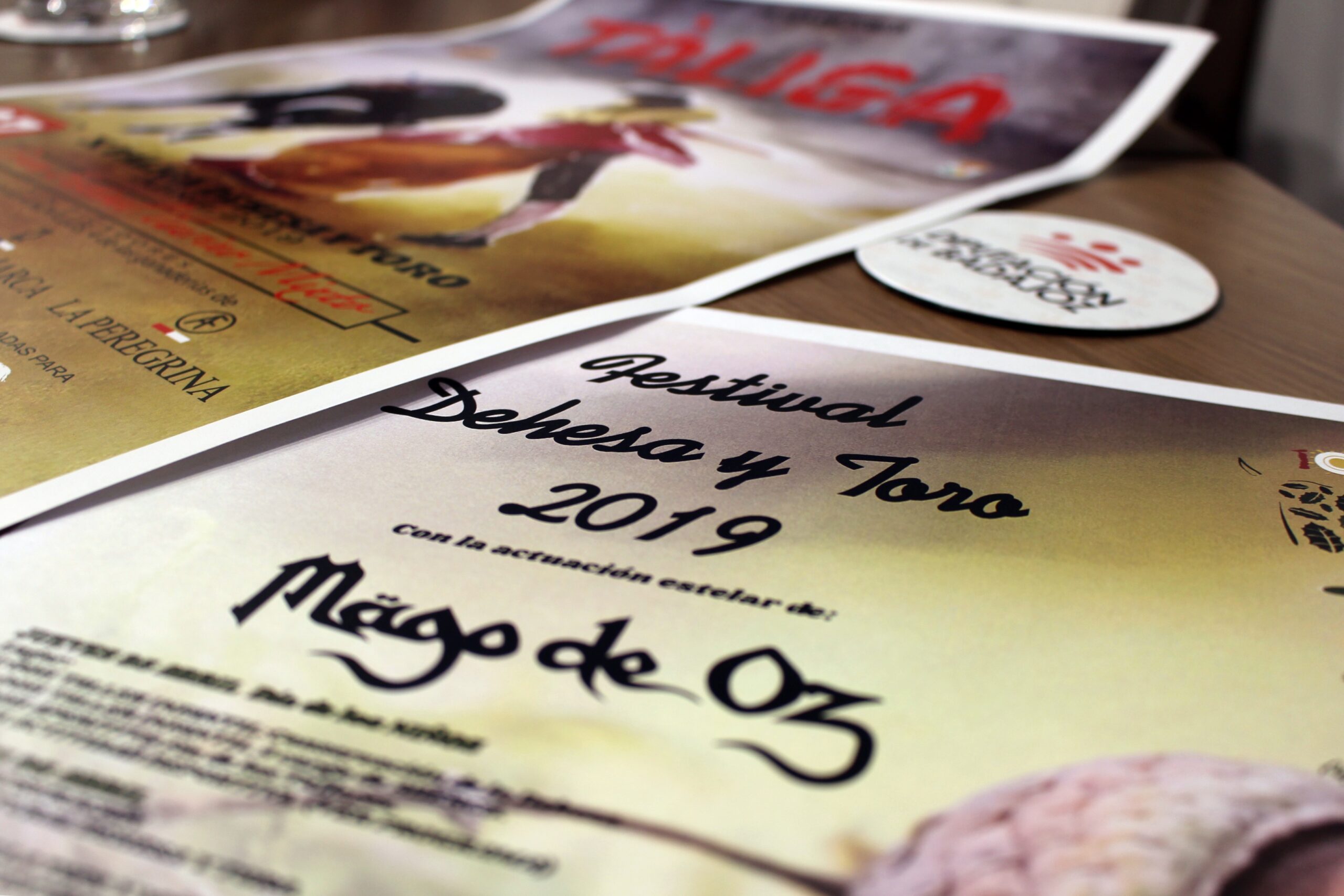 Táliga, Llanos de Olivenza, Extremadura, turismo, turismo rural, dehesa y toro