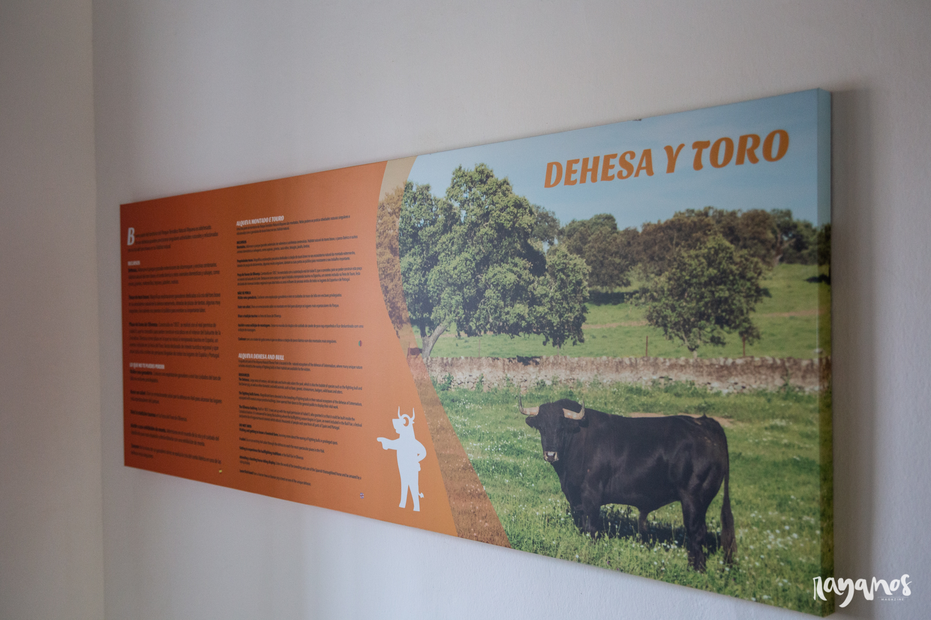 Alqueva, Centro de Interpretación, turismo, turismo activo, turismo de naturaleza, turismo rural, Olivenza, Badajoz, Extremadura