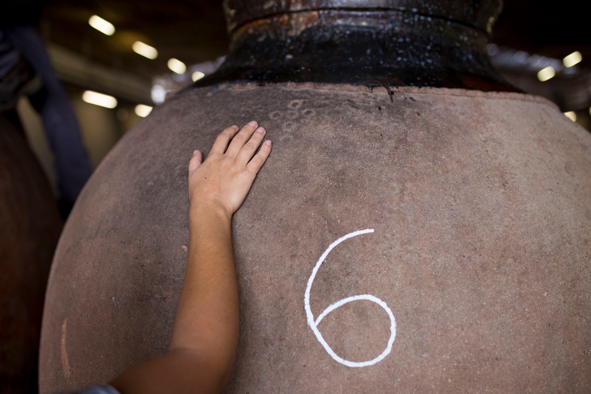 Ruta dos vinhos, Alentejo, enoturismo, turismo, vinos, Évora, Monsaraz, Esporão