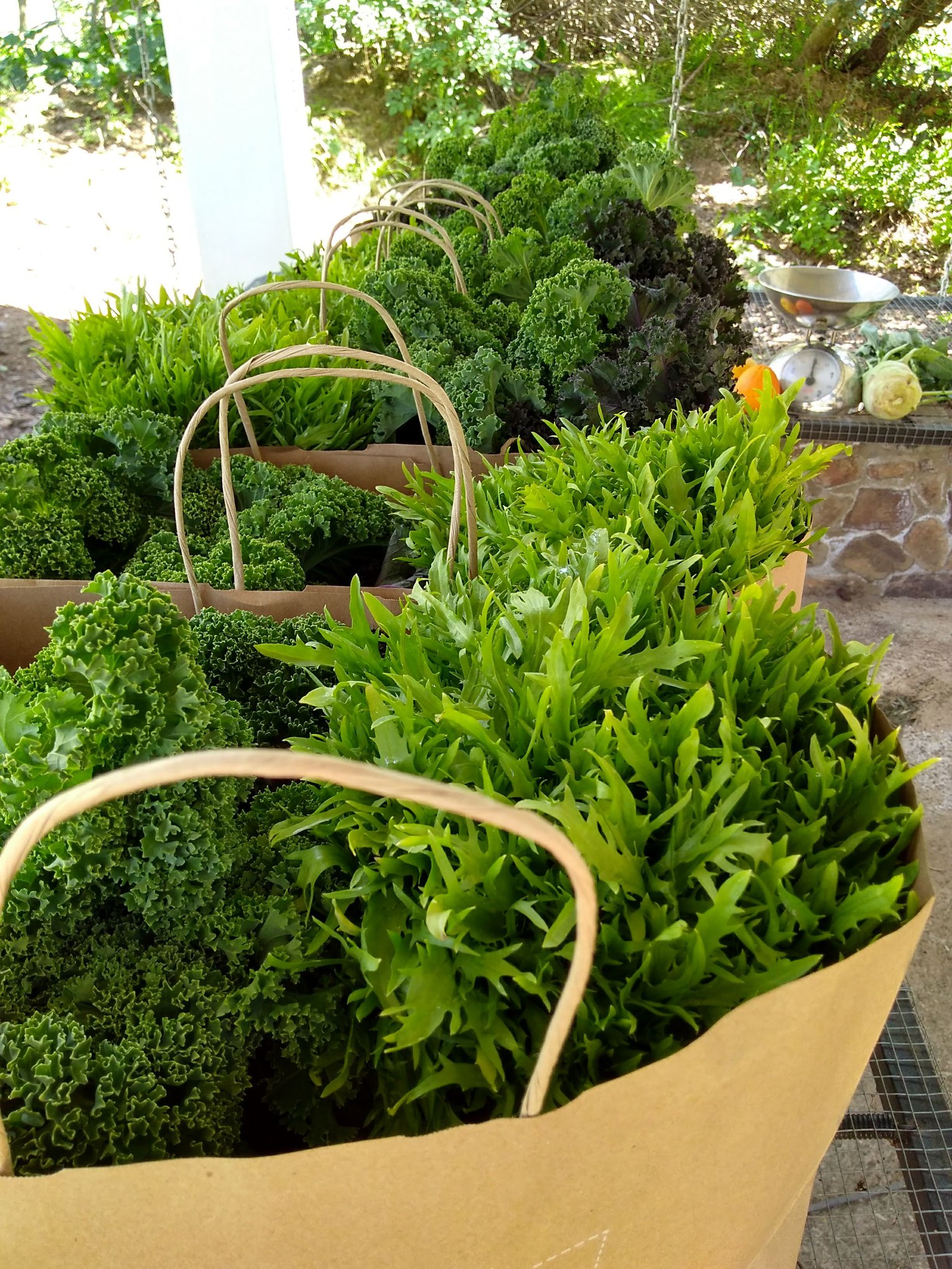 La Codosera, escapadas, turismo, turismo rural, Extremadura