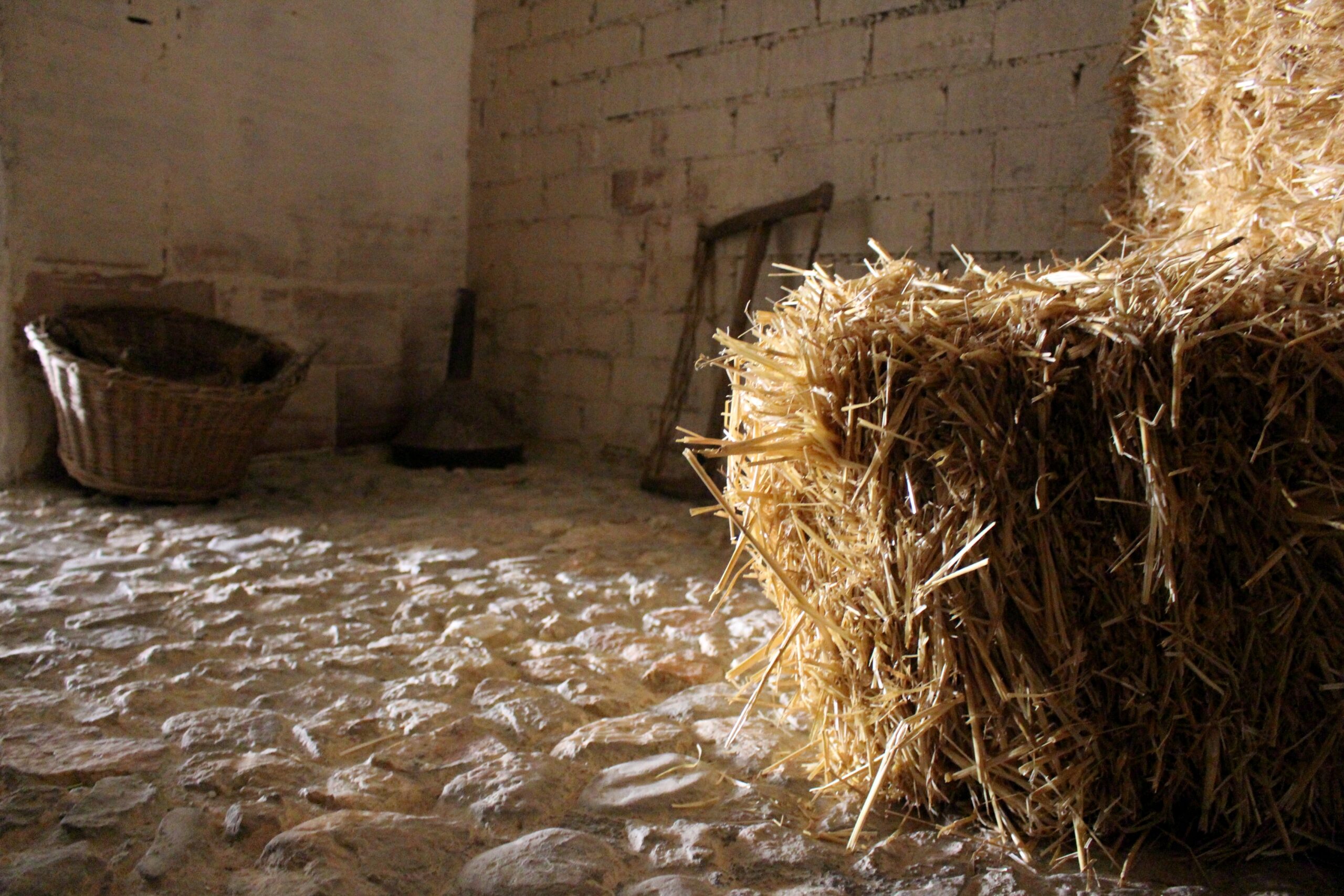 Salorino, Extremadura, Casa de la Gitana, turismo, turismo rural