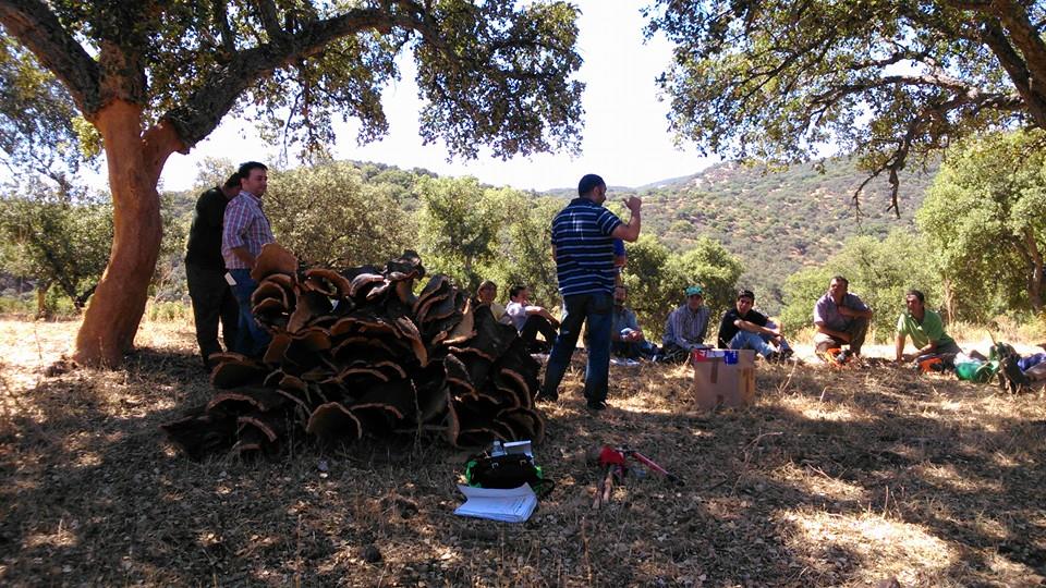 San Vicente de Alcántara, Extremadura, destino, escapadas, turismo, turismo rural