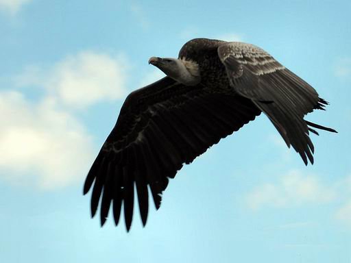 San Vicente de Alcántara, Extremadura, destino, escapadas, turismo, turismo rural