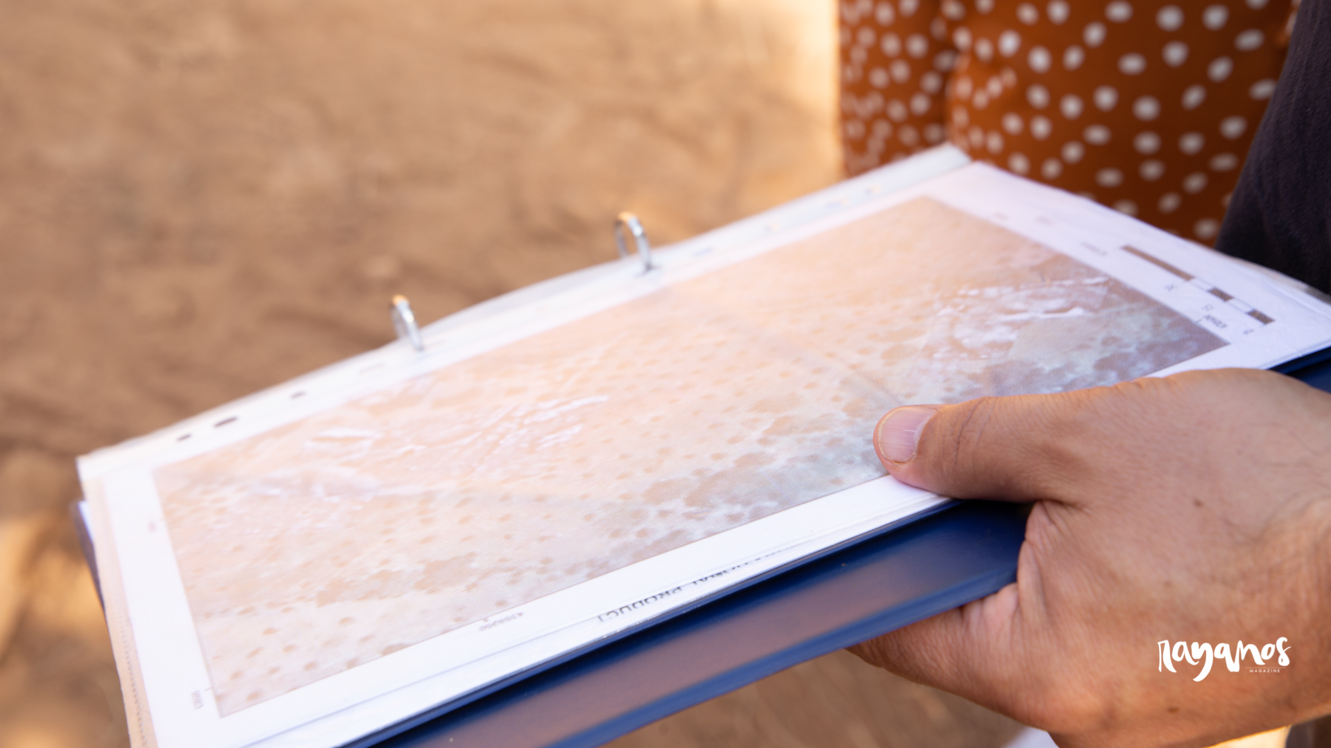 Cidade Romana de Ammaia, Ammaia, arqueología, cultura, Marvão, Alentejo