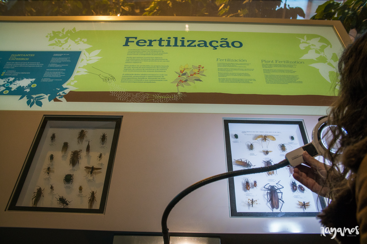 Campo Maior, Centro de Ciência do Café, agronatura, café, Alentejo