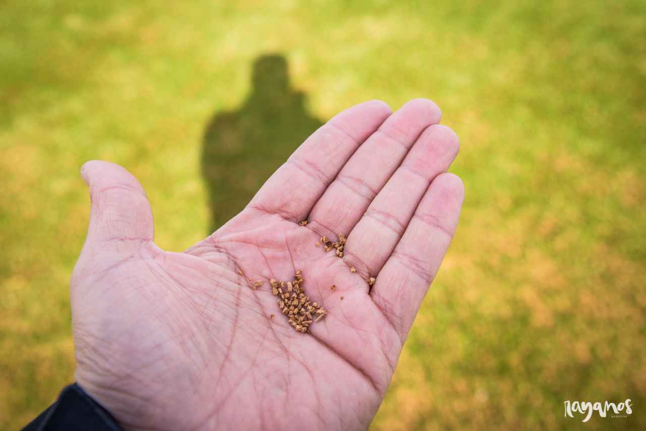agronatura, San Vicente de Alcántara, corcho, Extremadura