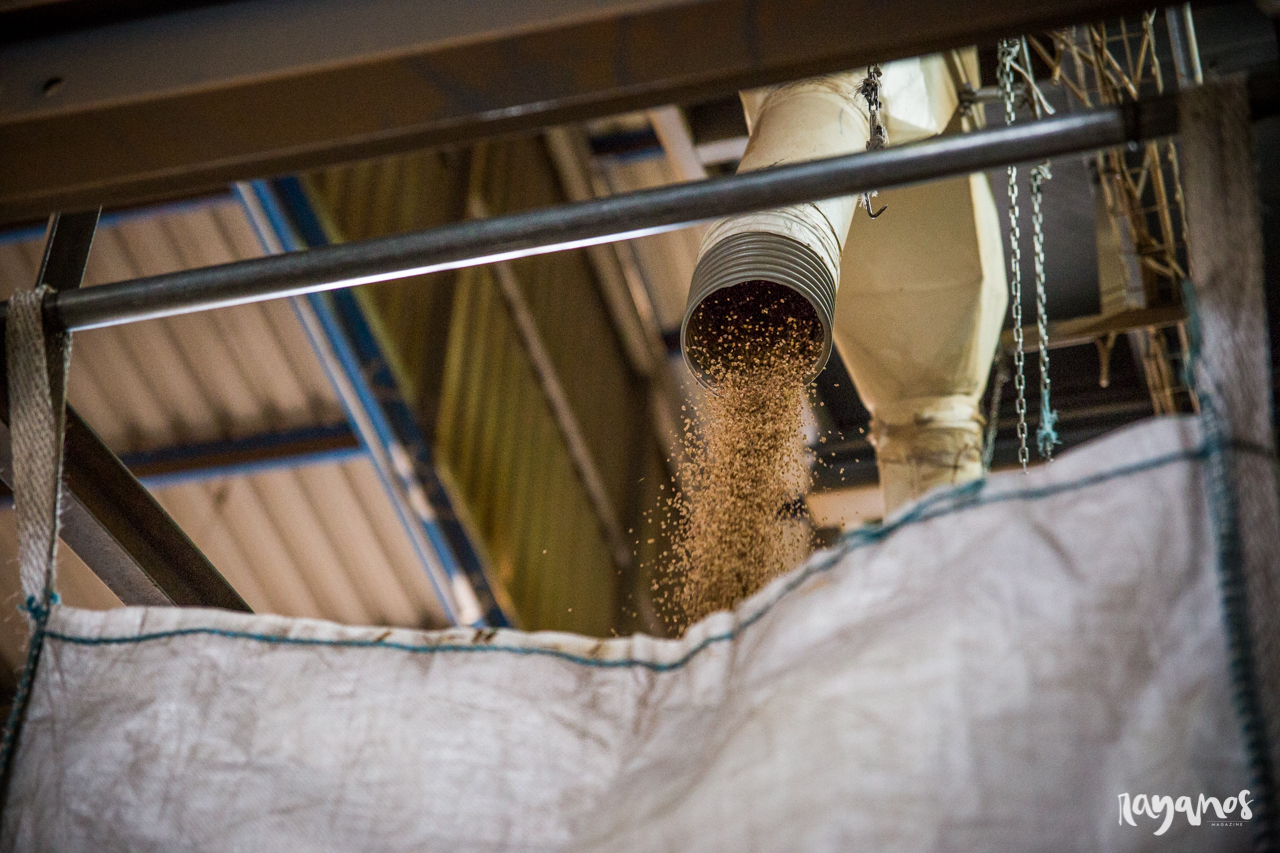 agronatura, San Vicente de Alcántara, corcho, Extremadura