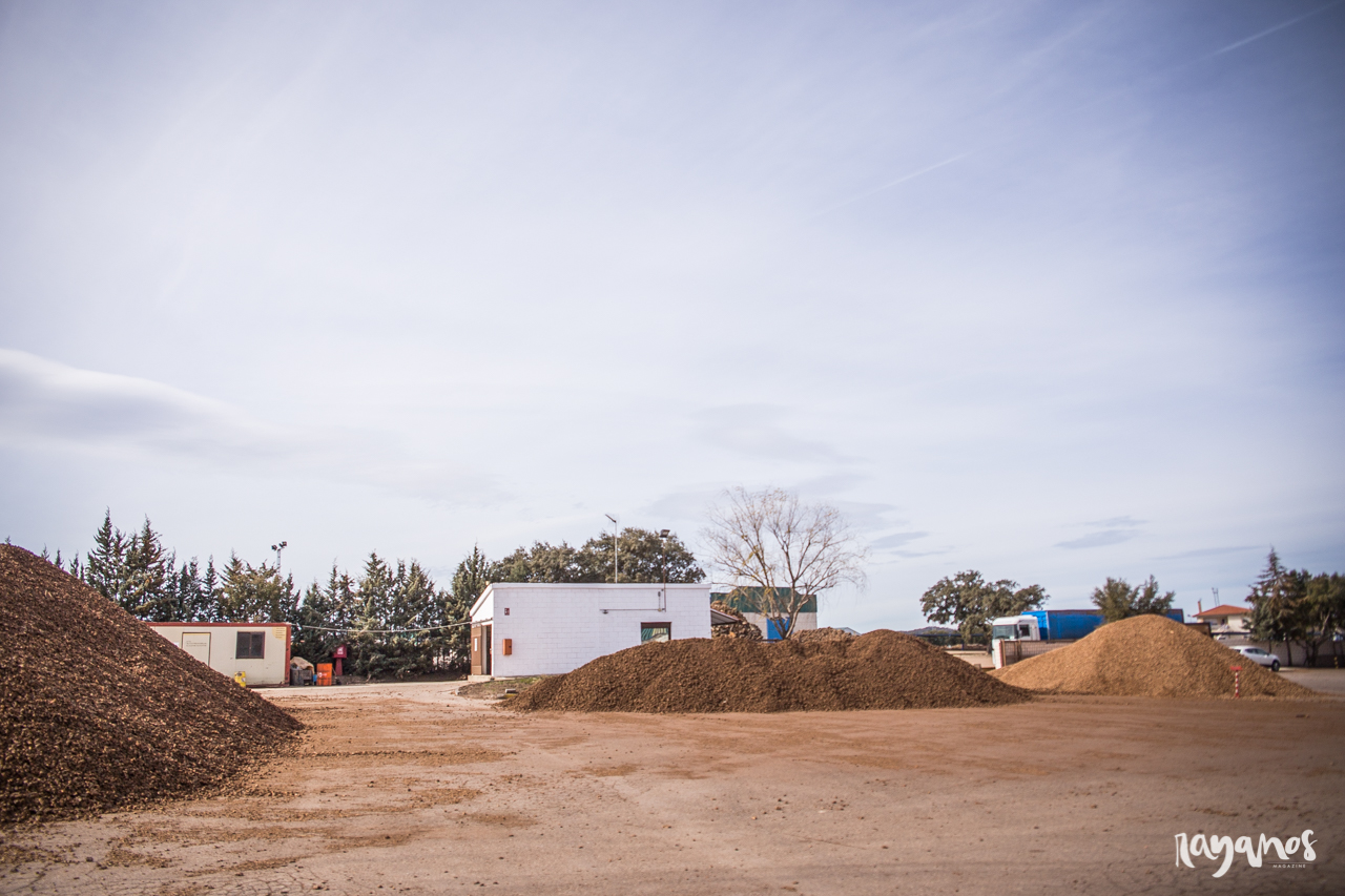 agronatura, San Vicente de Alcántara, corcho, Extremadura