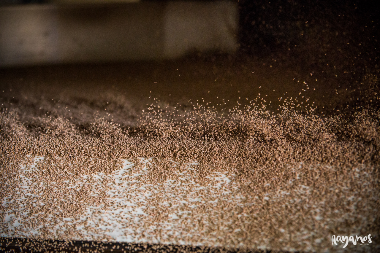 agronatura, San Vicente de Alcántara, corcho, Extremadura