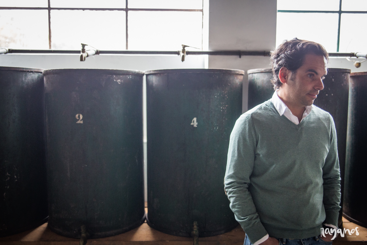 Azeite Castelo de Marvão, Galegos, Marvão, Alentejo, Turismo, Turismo rural, olivoturismo