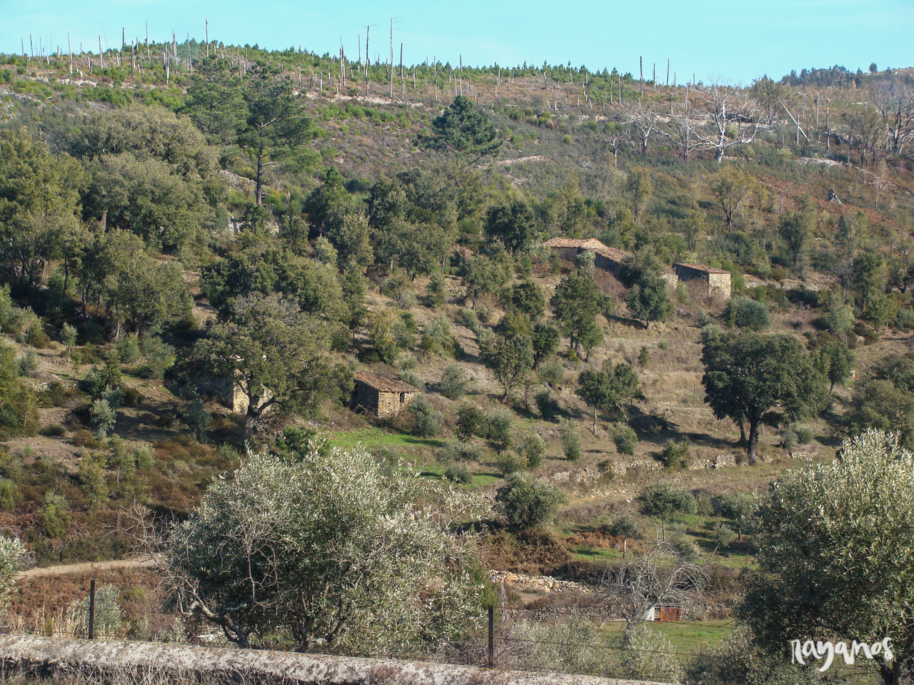 ruta transfrontera, Valencia de Alcántara, senderismo, turismo, planes, Extremadura