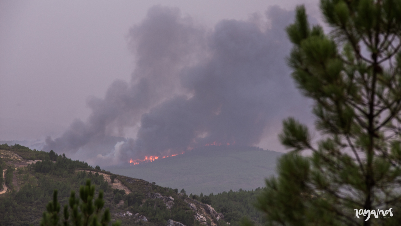 incendio, Marvão, Jola, Alentejo, Extremadura, agronatura