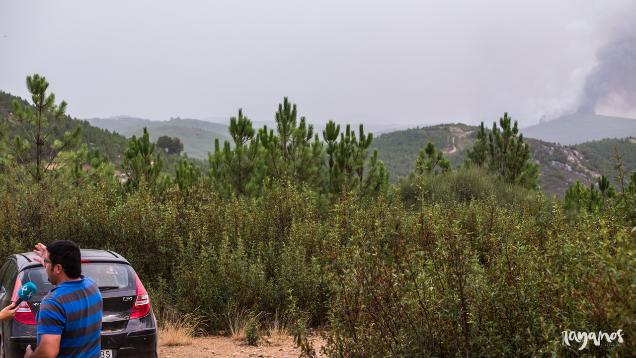 incendio, Marvão, Jola, Alentejo, Extremadura, agronatura