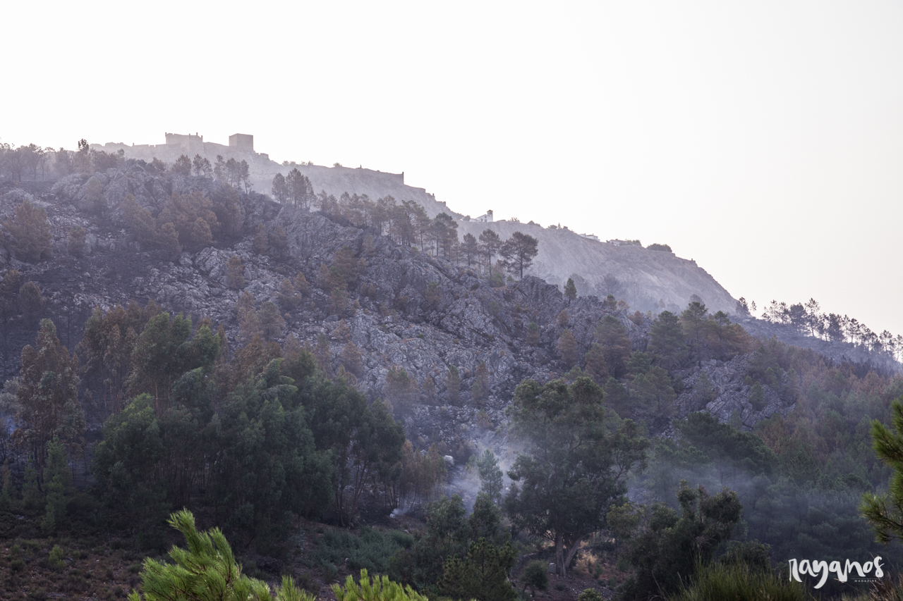 incendio, Marvão, Jola, Alentejo, Extremadura, agronatura