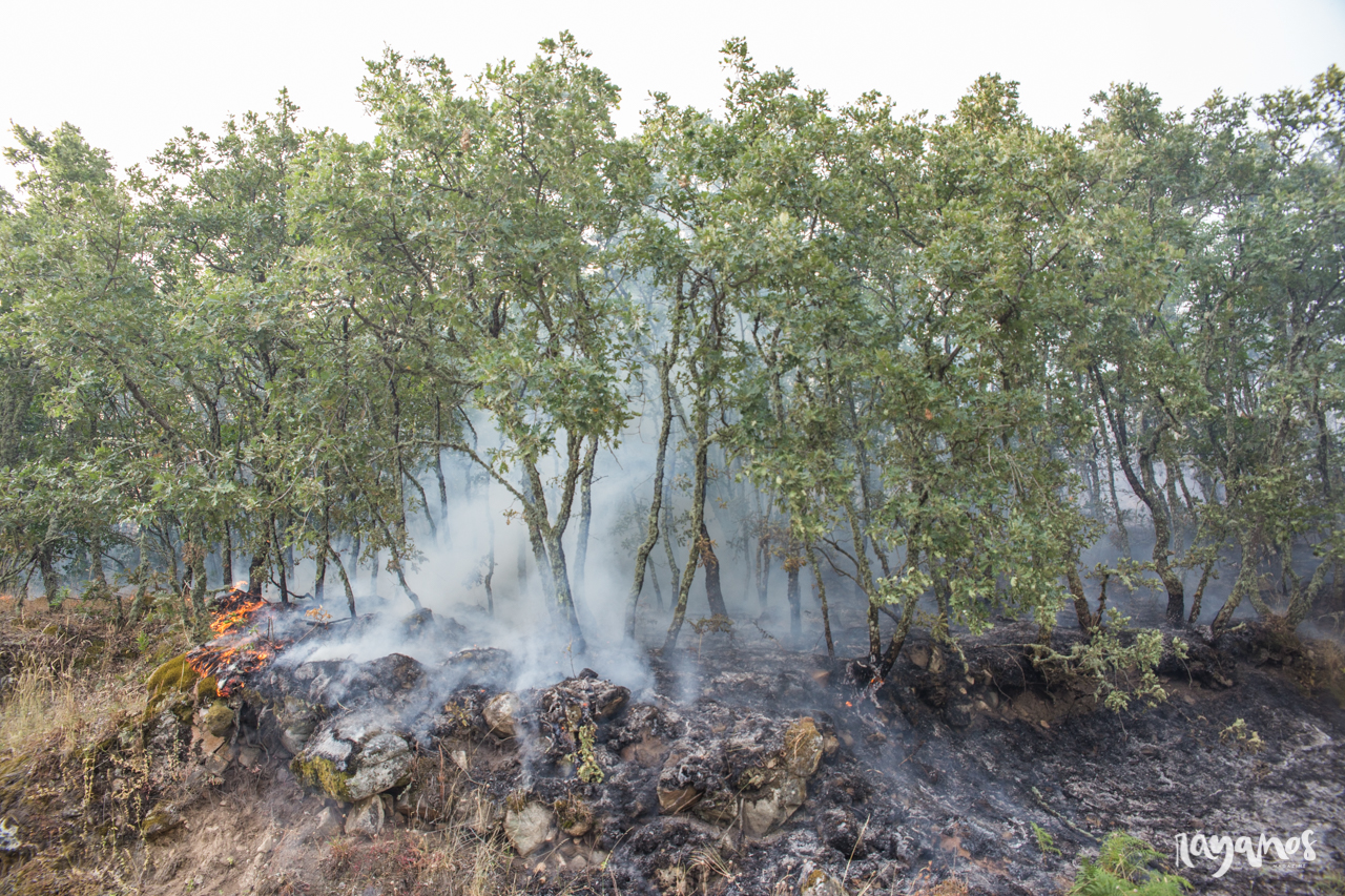 incendio, Marvão, Jola, Alentejo, Extremadura, agronatura