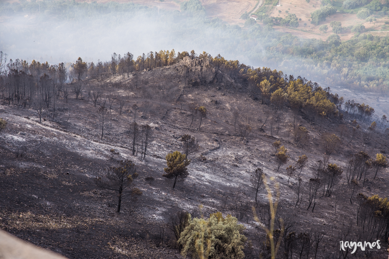 incendio, Marvão, Jola, Alentejo, Extremadura, agronatura