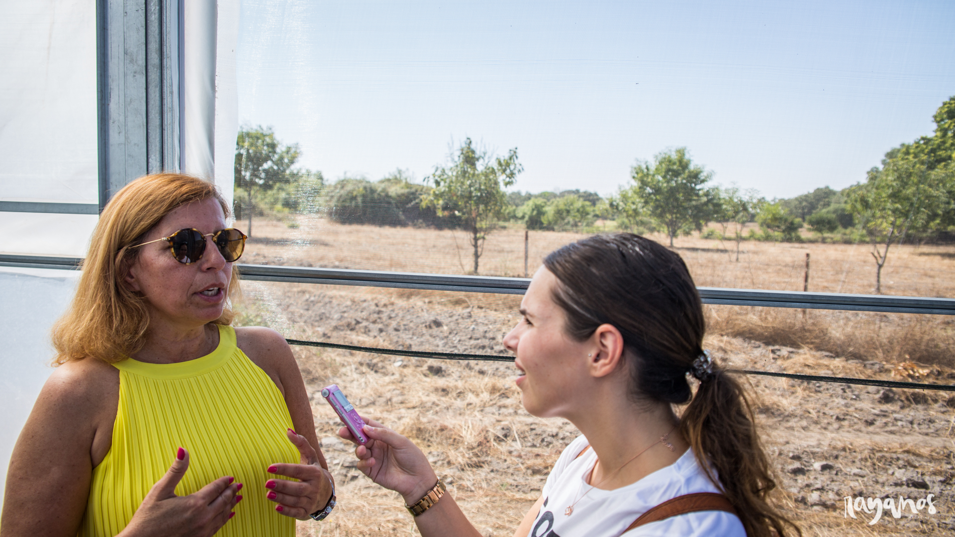 castaña, Marvão, investigación, Alentejo, agronatura