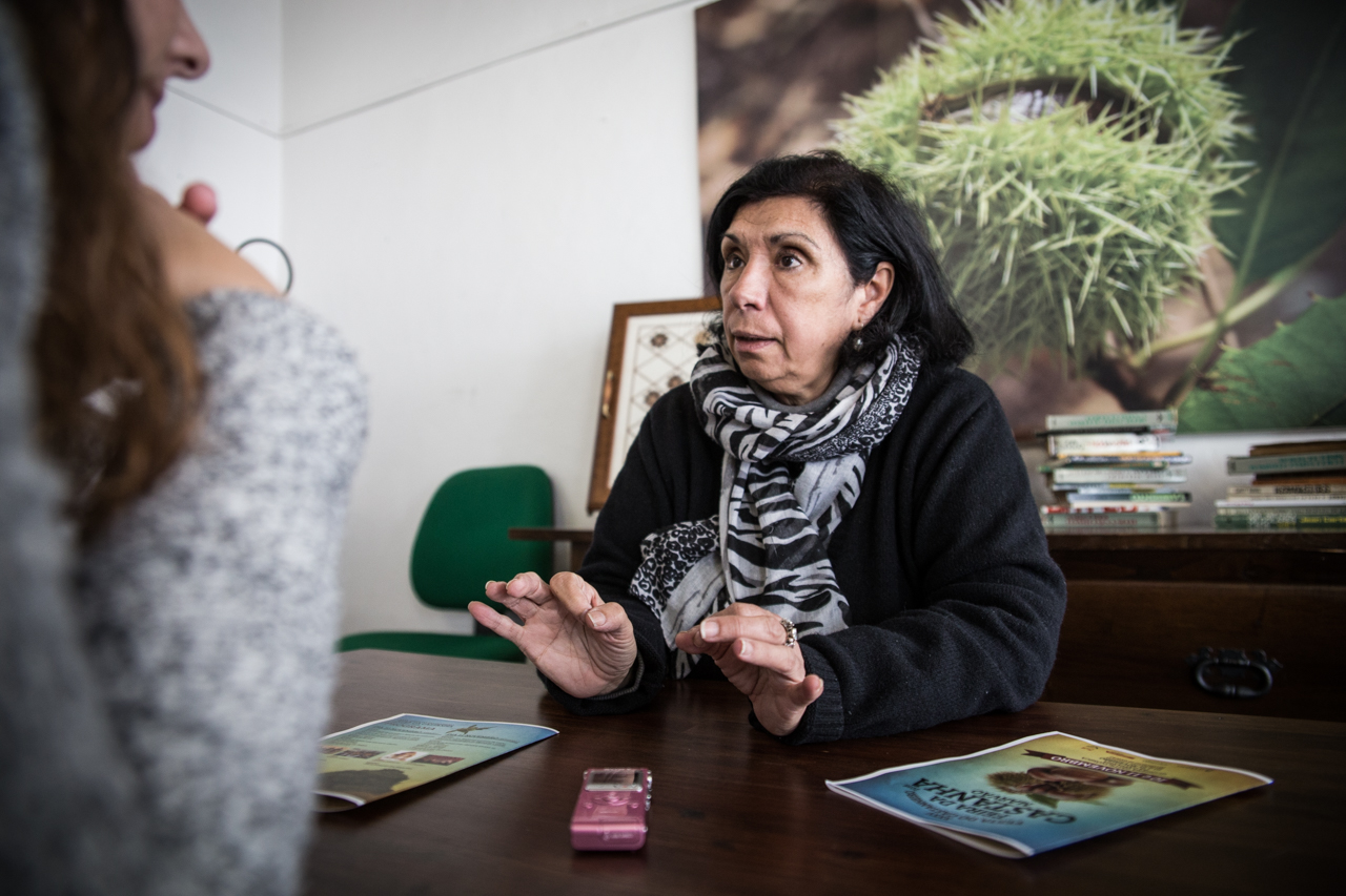 Marvão, turismo, turismo rural, feria de la castaña, Alentejo