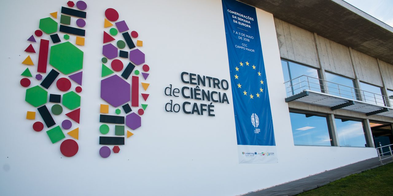 De la planta a la taza: un viaje al mundo del café