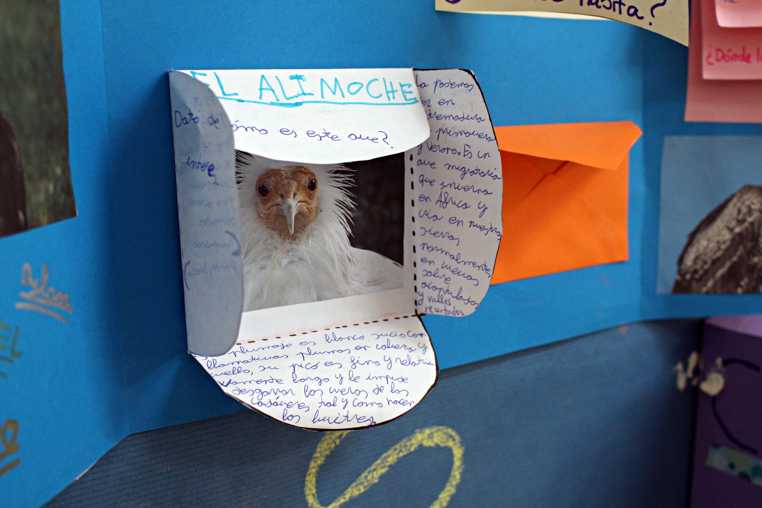 colegio, Colegio General Navarro, Educación, Valencia de Alcántara, Extremadura, Diputación de Cáceres