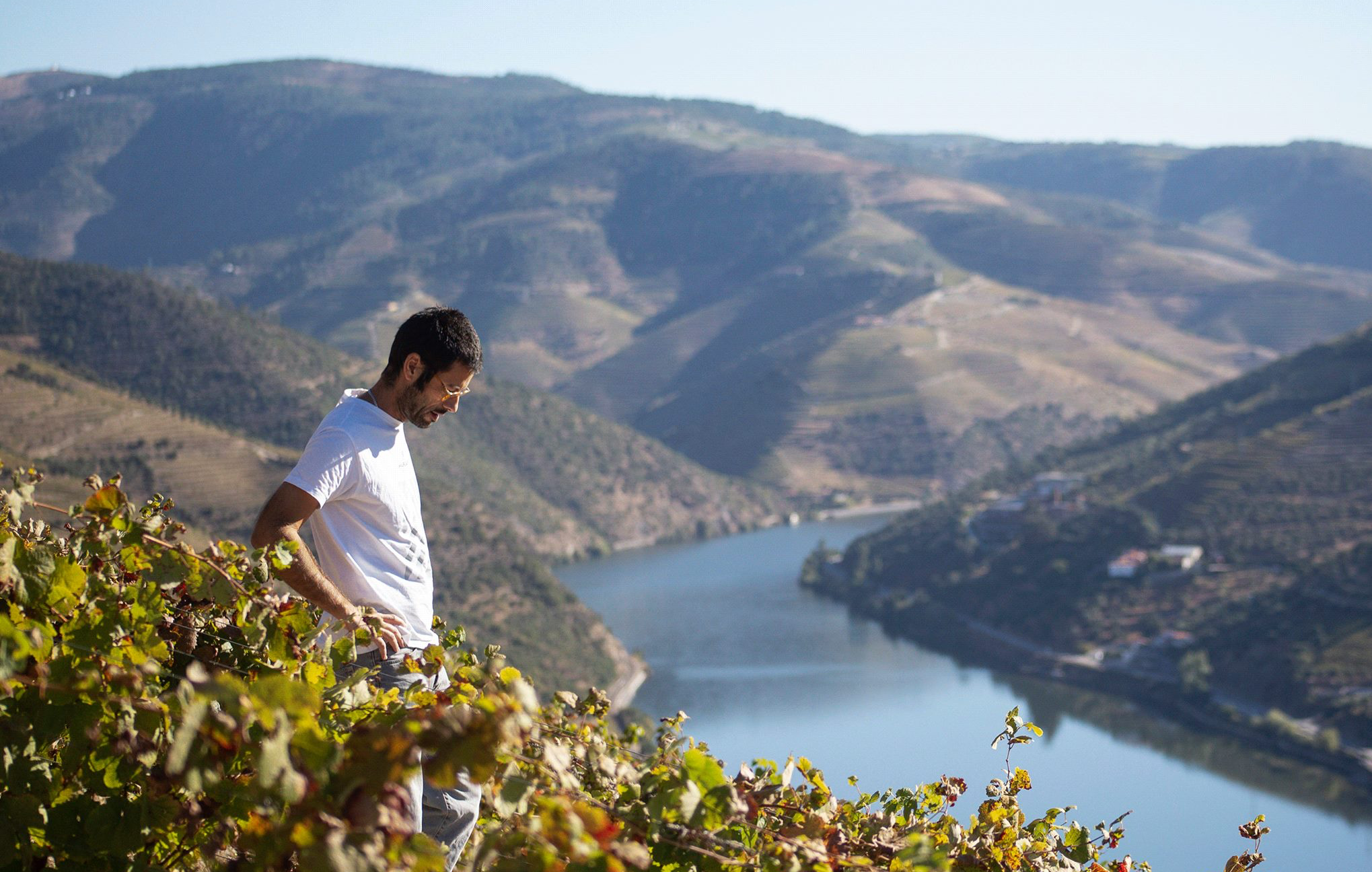 Ruta dos vinhos, Alentejo, enoturismo, turismo, vinos, Évora, Monsaraz, Esporão