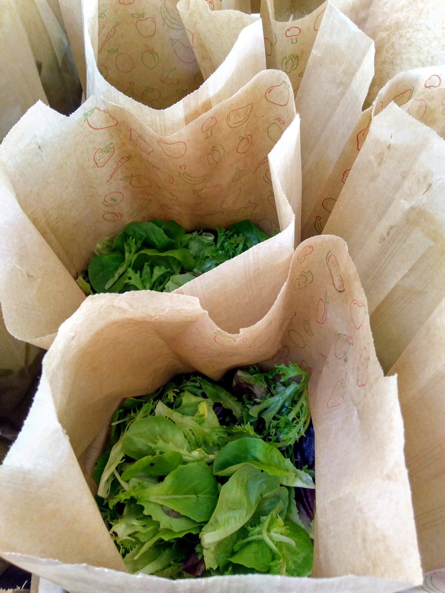 La Codosera, Huertas del Abrilongo, agronatura, agroecología, ecología, Badajoz, Extremadura