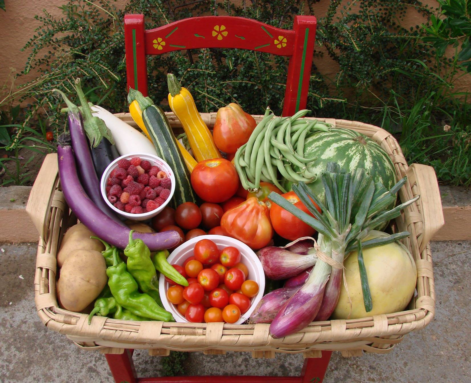 La Codosera, Huertas del Abrilongo, agronatura, agroecología, ecología, Badajoz, Extremadura