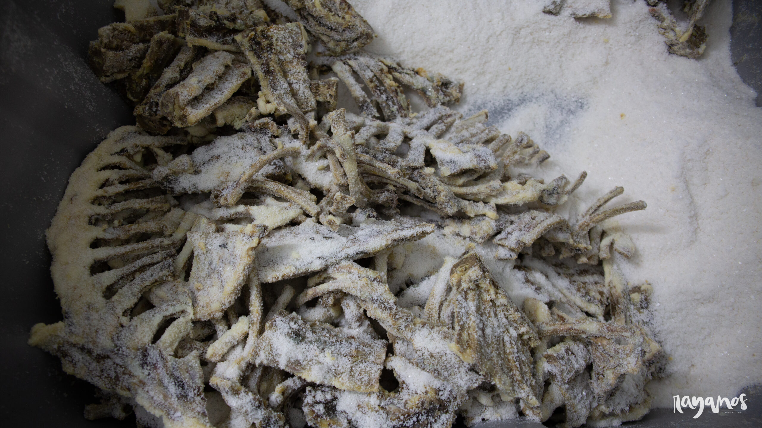 Jerez de los Caballeros, Juanes Ibéricos Salvajes, ibérico, agronatura, ecología, Extremadura