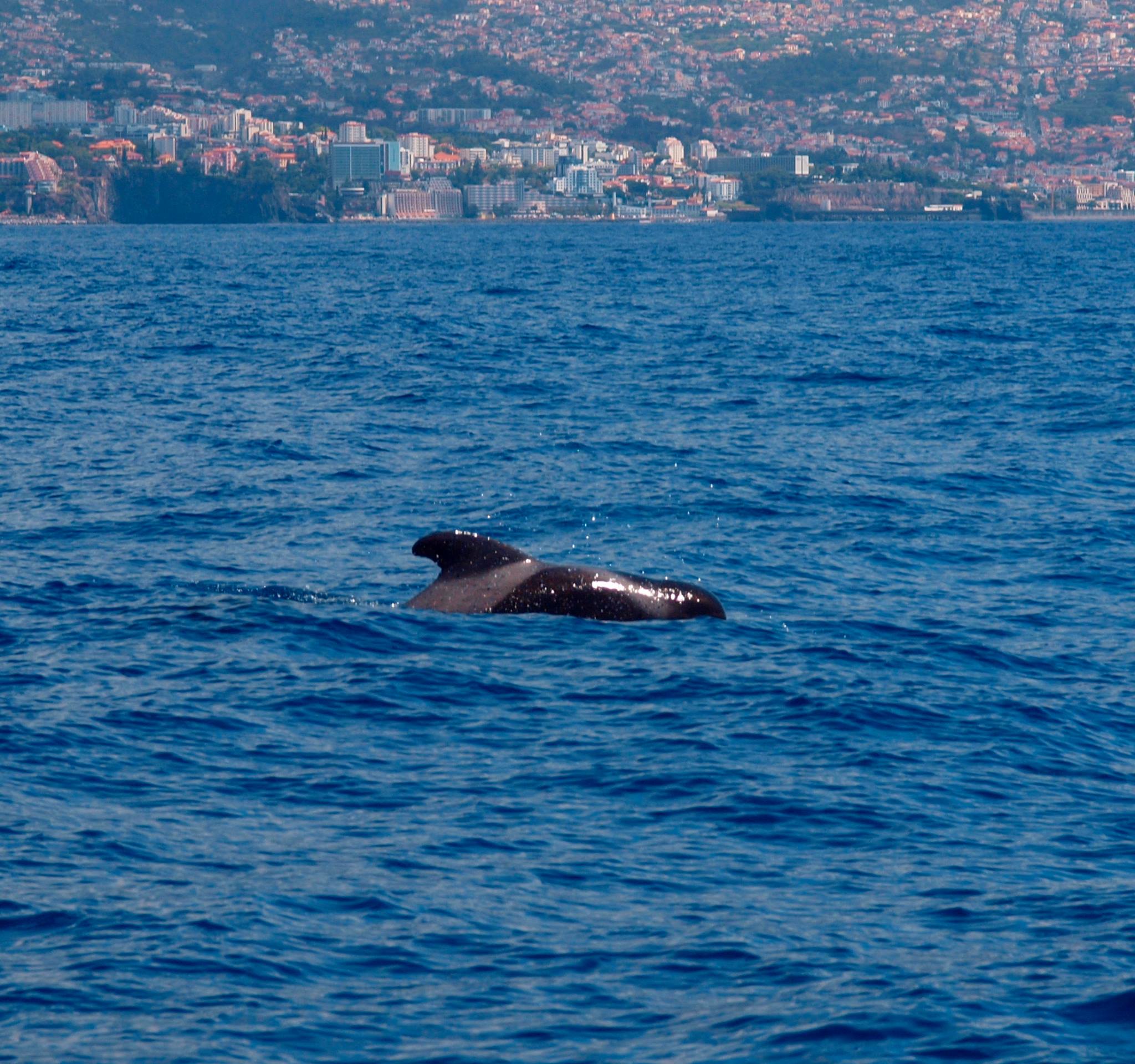 Jabi Belasko, +Turismo, turismo, destinos, escapadas, Extremadura Portugal