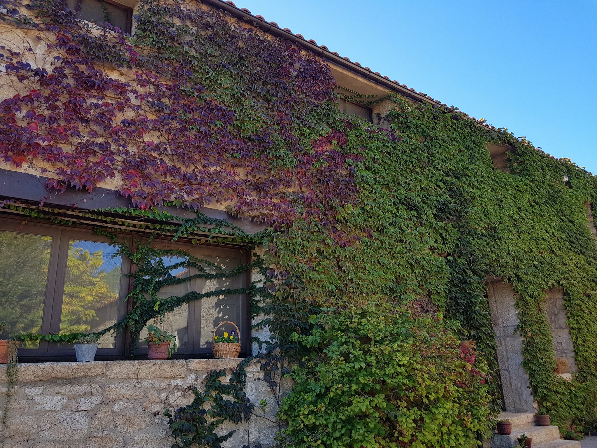 A Velha Fabrica, aceite, oleoturismo, almazara, hotel