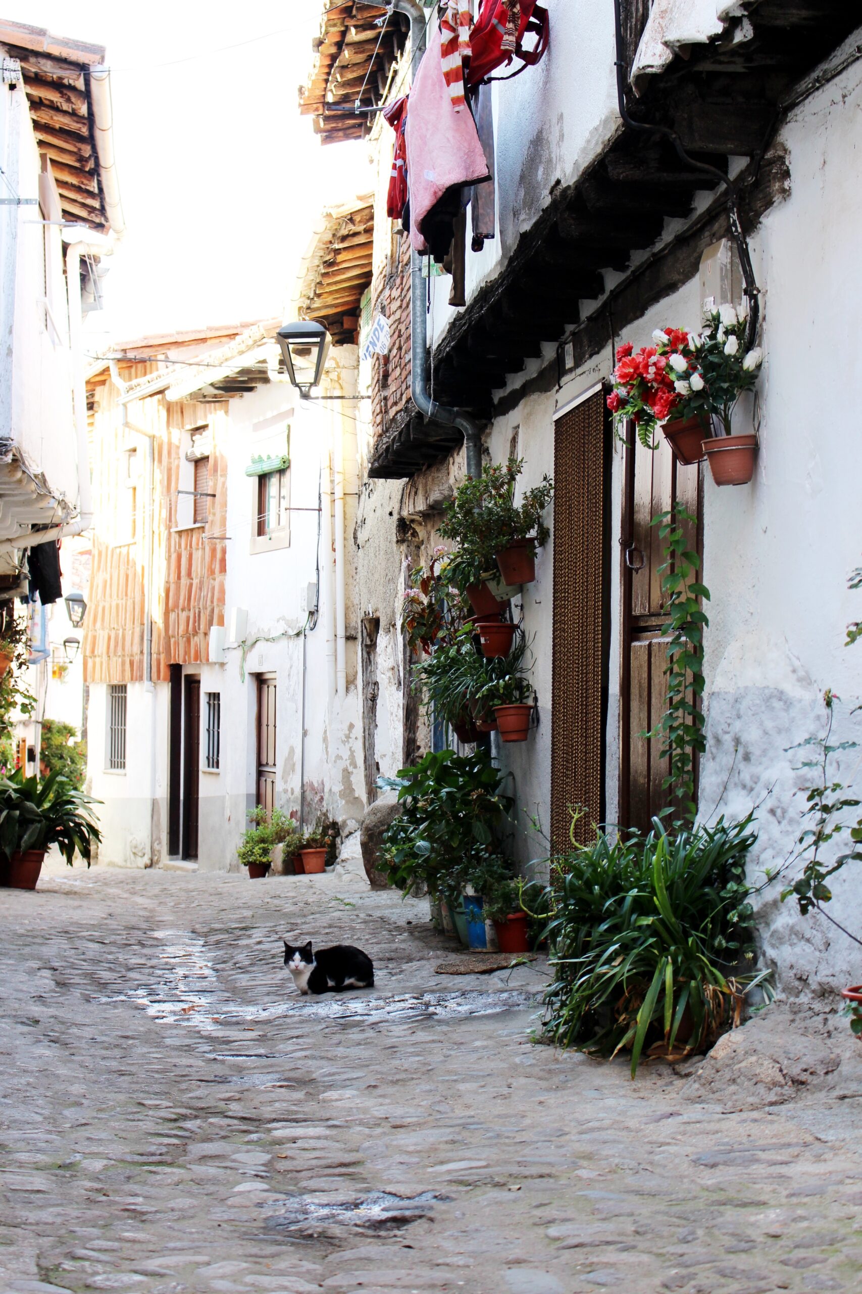 + TURISMO, MÁS TURISMO, Hervás, Cáceres, turismo, turismo rural, turismo cultural, Extremadura, otoño mágico