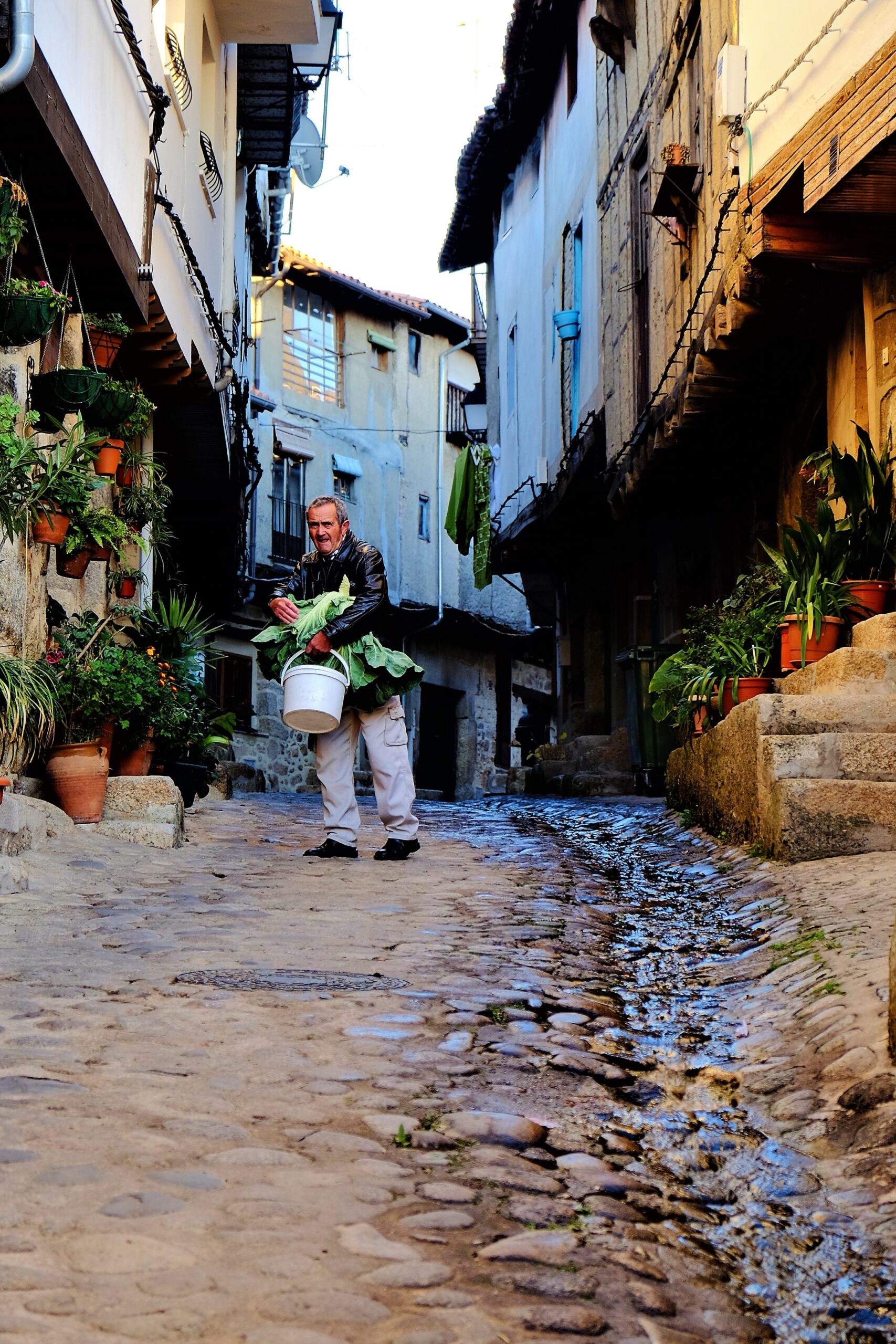 En Ruta, destino, escapada, turismo, turismo rural, Sierra de Gata, San Martín de Trevejo, Valverde del Fresno, Eljas