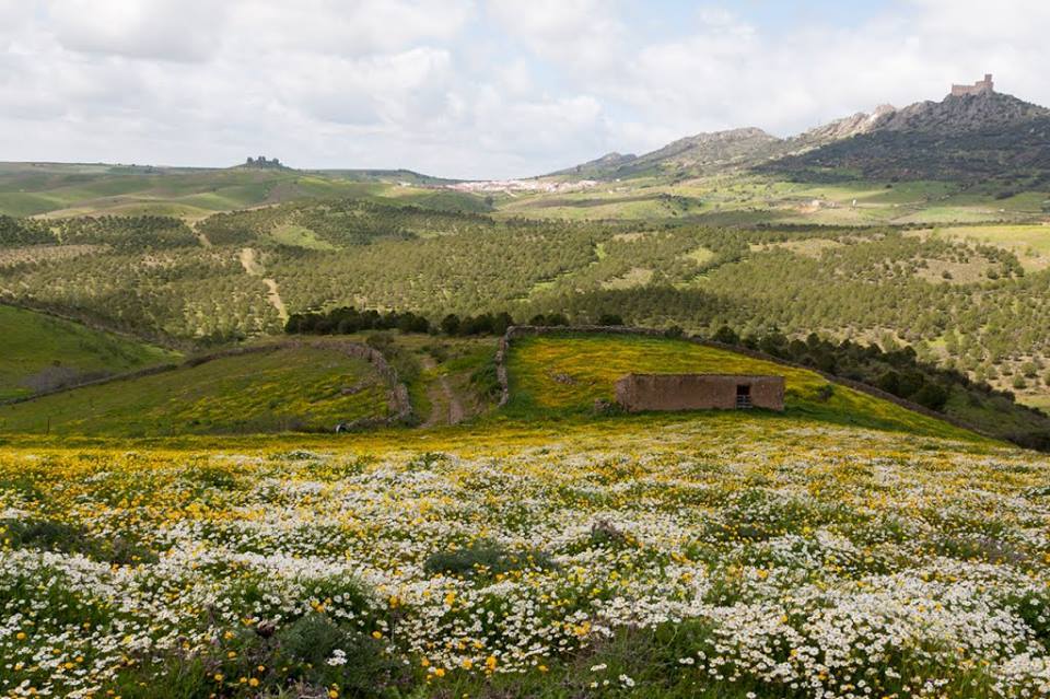 José María Redondo, La siberia, 