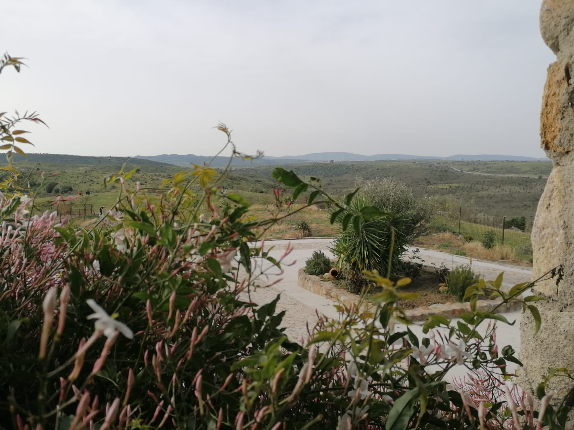 coronavirus, desde mi ventana