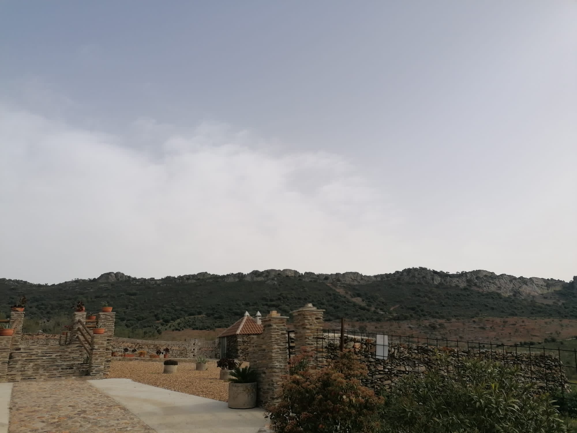 coronavirus, desde mi ventana