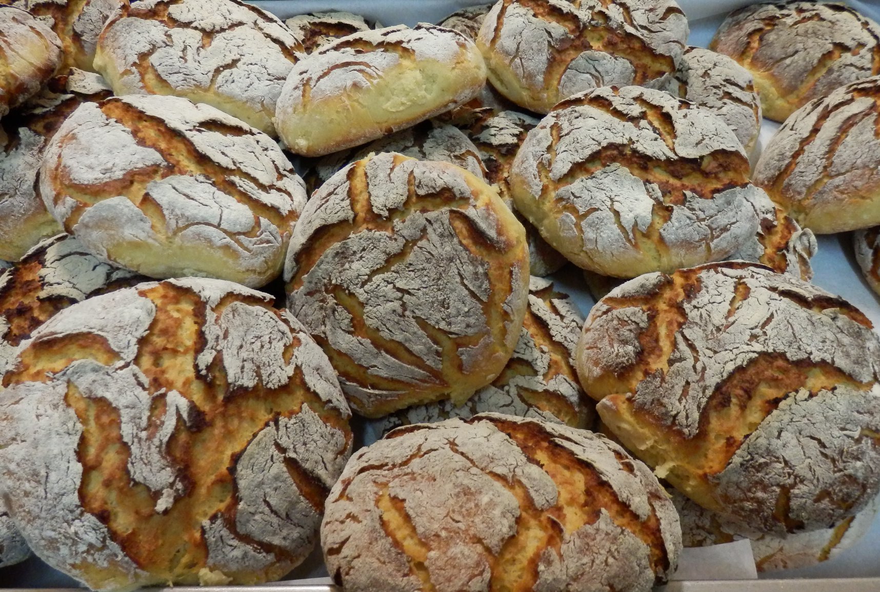 planes, turismo, noviembre, Extremadura, Alentejo, Extremadura Portugal, 