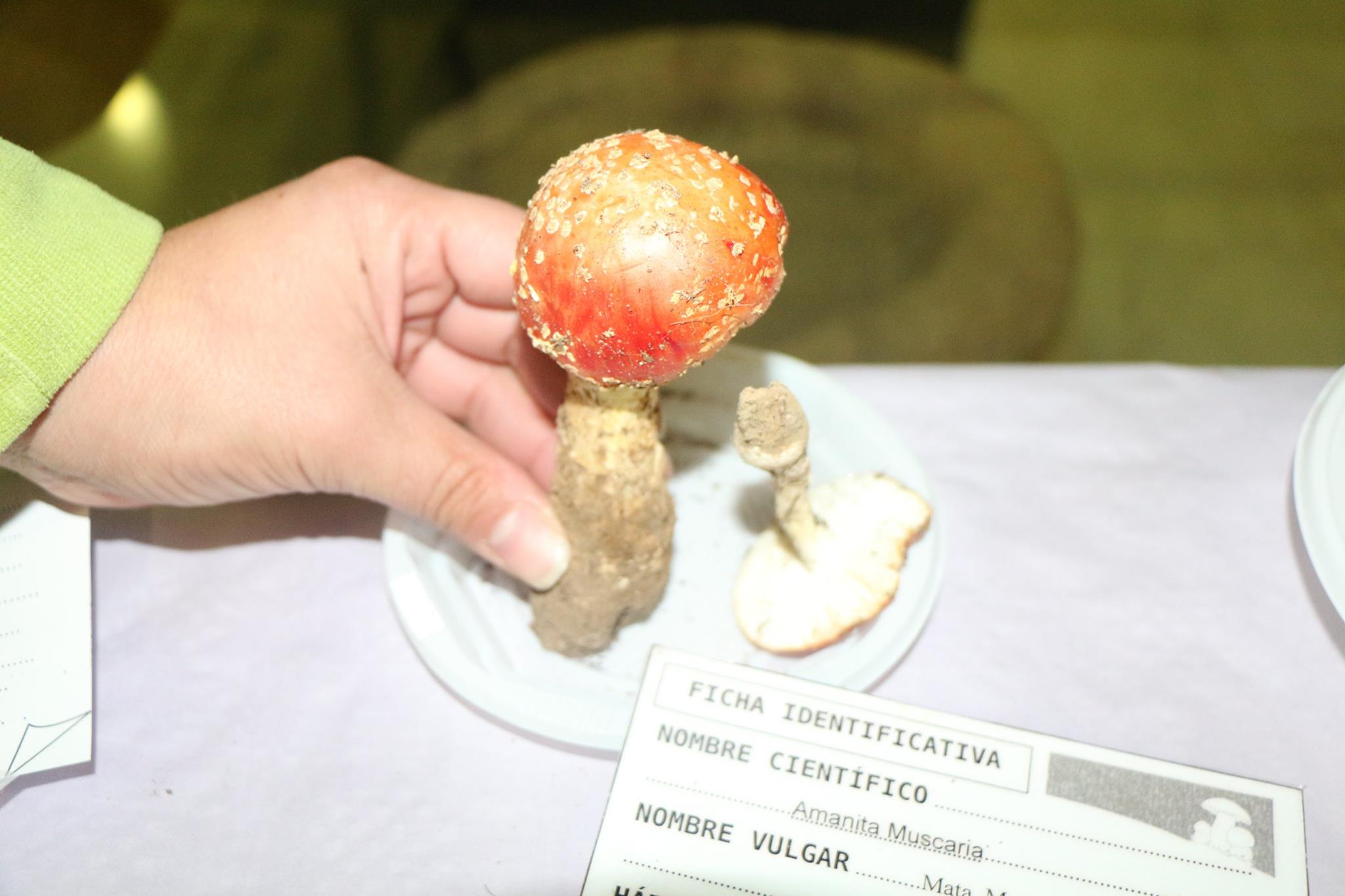 planes, turismo, noviembre, Extremadura, Alentejo, Extremadura Portugal, 