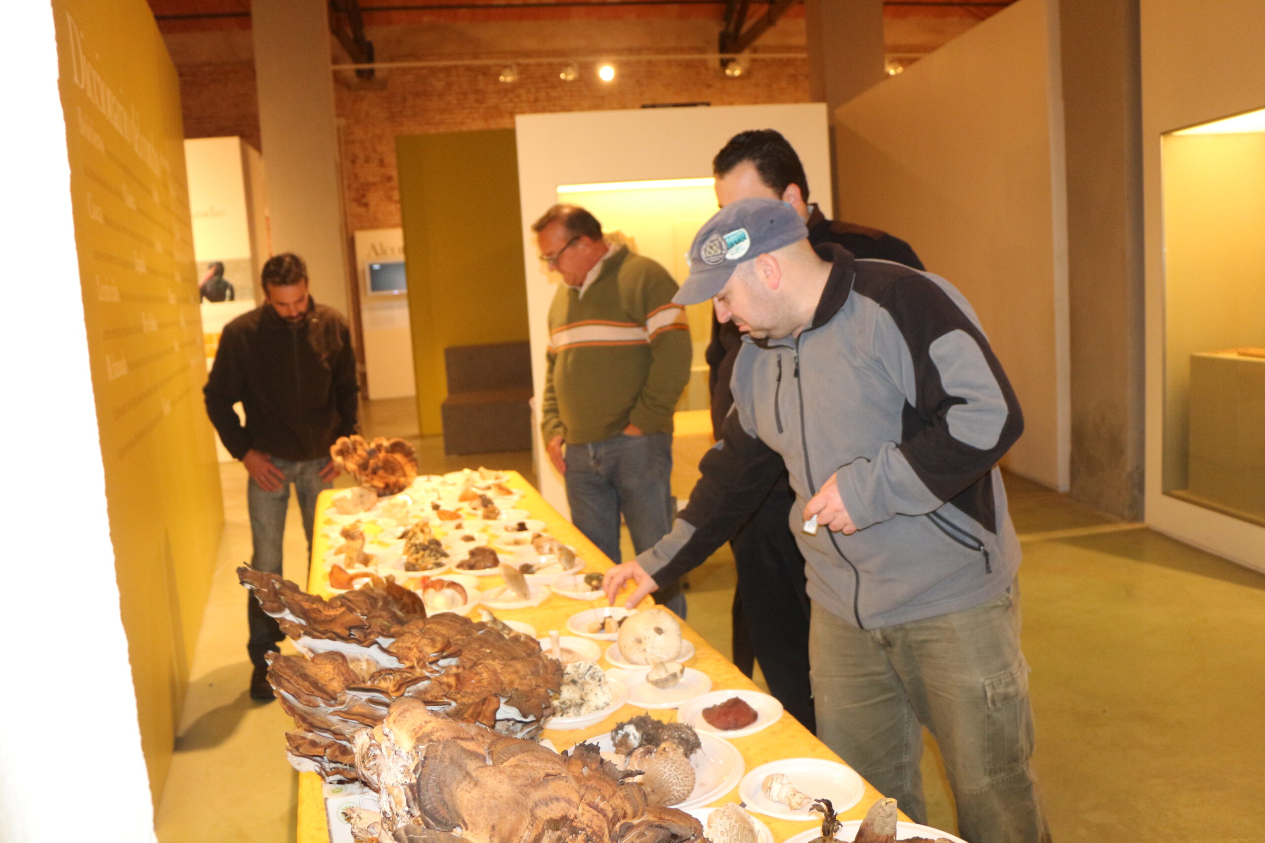 San Vicente de Alcántara, Jornadas Micológicas, otoño, turismo, gastronomía, Extremadura