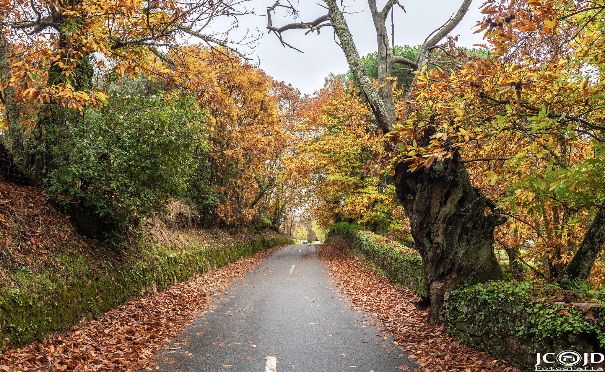 São Mamede, Juan Carlos Jiménez, 