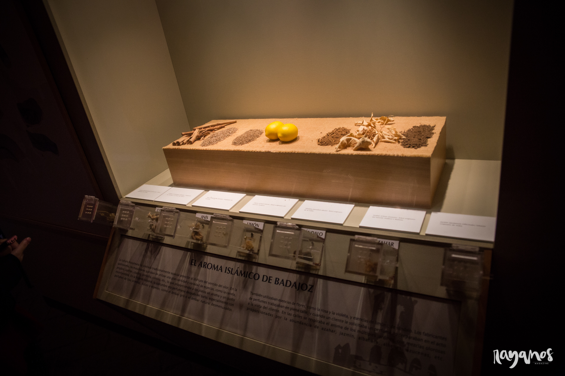 cultura, planes, museos, Badajoz, Extremadura, Luis de Morales