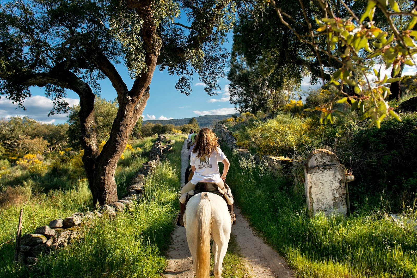 planes, puente de diciembre, turismo, turismo rural, Extremadura, Alentejo, caballos, Sao Mamede
