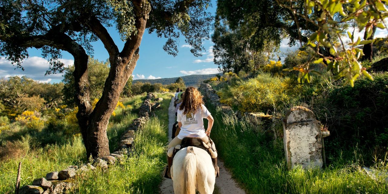 Descubrir São Mamede al paso, trote y galope