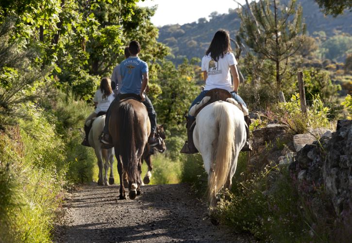 Caballos Marvão, Marvão, turismo, turismo rural, Alentejo